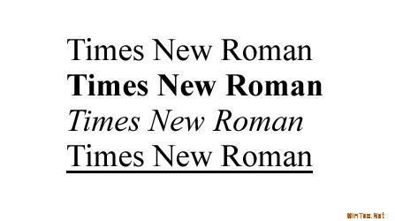 Times+New+Roman+