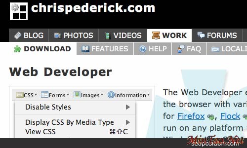 web-developer-extension