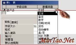 Access2000ٳɽ̳--1.3 ڡơͼƱ