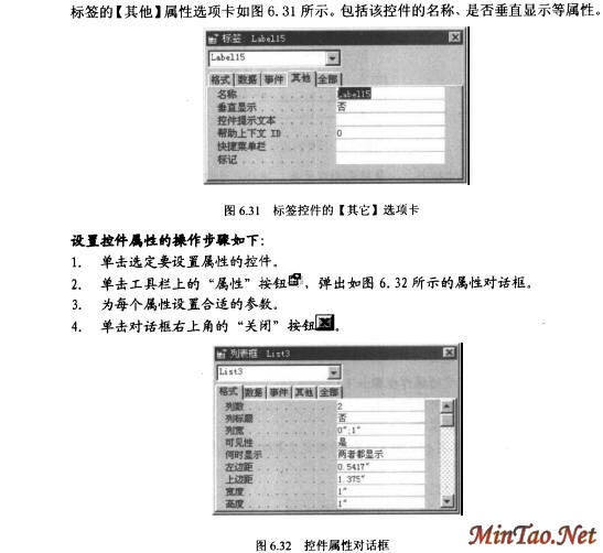 Accessݿ⼼32)ͼʮģ