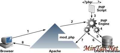 Oracle Apache PHP relation