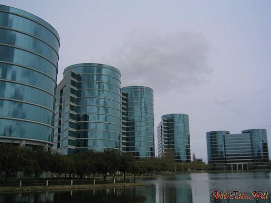 Oracle Company