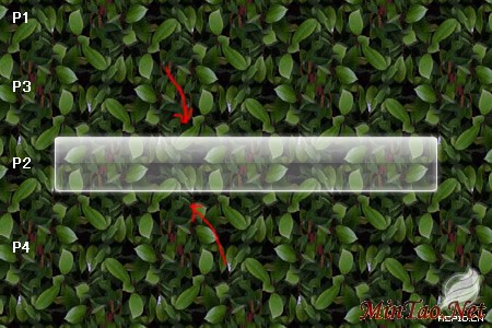 FireworksMacromediať