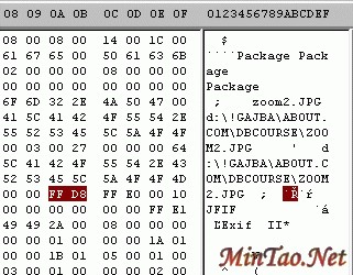 Jpeg as OLE object binary file