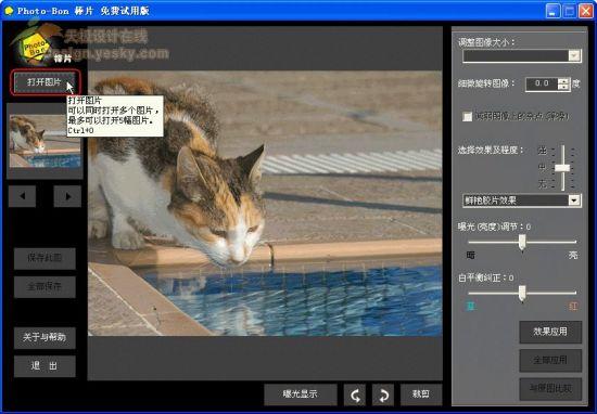 Photo-Bon“Ƭ”ͼɴƬ